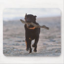Suche nach spanien mousepads Horizontal