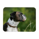 Suche nach profil magnete Bob und pam langrish