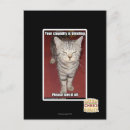 Recherche de stupidité posters Je peux avoir cheezburger