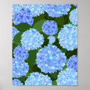 Suche nach quellen poster Natur