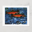 Suche nach lachse postkarten Fische