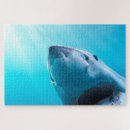 Suche nach weißer hai puzzle Meeresleben