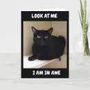 Suche nach lustige schwarze katze karten Familie