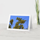 Recherche de horticulture vœux cartes Flore