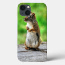 Suche nach male hüllen Eichhörnchen