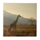 Suche nach savanne fliesen Giraffen
