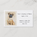 Recherche de mini mastiff Pour tous