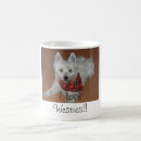 Recherche de chien westie tasses Montagne