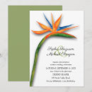 Recherche de oiseaux tropicaux invitations Été