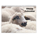 Suche nach schafe in der kalender Lamm