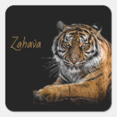 Suche nach schwarzer tiger aufkleber Safari