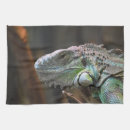 Suche nach reptilien geschirr tücher Eidechse