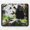 Suche nach niedlicher panda mousepads Zoo