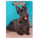 Recherche de oreille porte blocs Chien