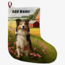 Recherche de colley chaussette de noël Chien