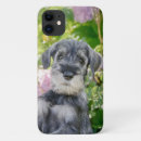 Suche nach standard iphone hüllen Hund