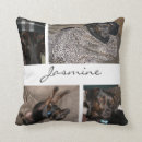 Recherche de animal familier coussins Amoureux des chiens