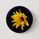 Recherche de hélium Fleur
