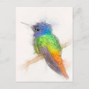 Recherche de colibris mignons cartes postales Adorable