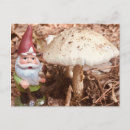 Recherche de gnomes cartes postales Pour tous