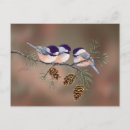 Recherche de brindilles cartes postales Branche