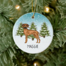 Suche nach afrikanische löwen ornamente Weihnachten