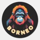 Suche nach borneo aufkleber Orang utan