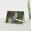 Recherche de cicatrices cartes postales Noir