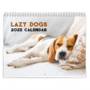 Suche nach lustige für kalender Haustiere