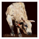 Recherche de taureau taureau posters Bulle