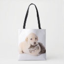 Suche nach elegante katzen taschen Modern