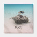 Suche nach maldives magnete Strand