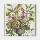 Suche nach monate magnete Blume