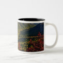 Suche nach blue ridge mountains tassen Appalachen