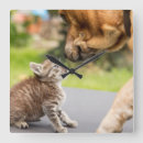 Suche nach bilder der katzen wanduhren Haustiere