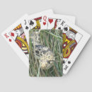 Recherche de serpent jeux de cartes Reptiles