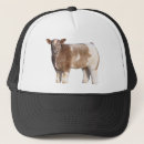 Recherche de vaches casquettes Vache mignonne