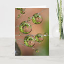 Suche nach wassertropfen karten Blume