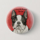 Suche nach liebe boston buttons Terrier