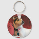 Suche nach jack russell terrier schlüsselanhänger Niedlich