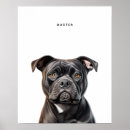 Suche nach staffordshire bull terrier poster Staffie