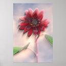 Recherche de hybride posters Floraison