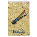 Suche nach fliegen kalender Insekten