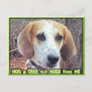 Suche nach tree hugger poster Natur