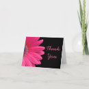 Recherche de gerber rose vœux cartes Fleur