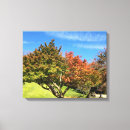 Suche nach japanischer garten leinwandbilder Herbstfarbe