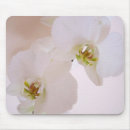 Recherche de phalaenopsis tapis souris Nature