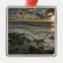 Suche nach karibisches meer ornamente Strand