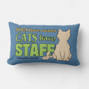 Recherche de chats domestiques coussins Humour