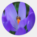 Recherche de coccinelles autocollants Fleur